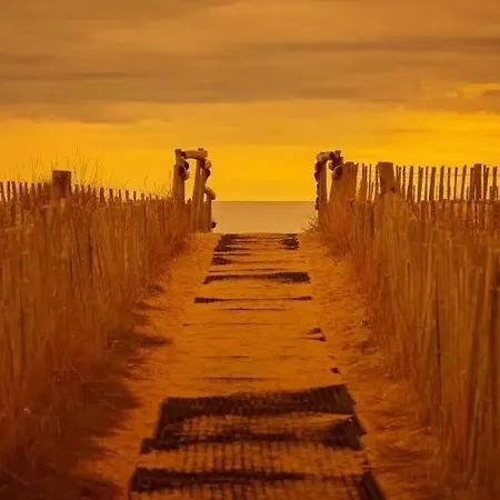Les Dunes - Les Pieds Dans L Eau- * Torreilles